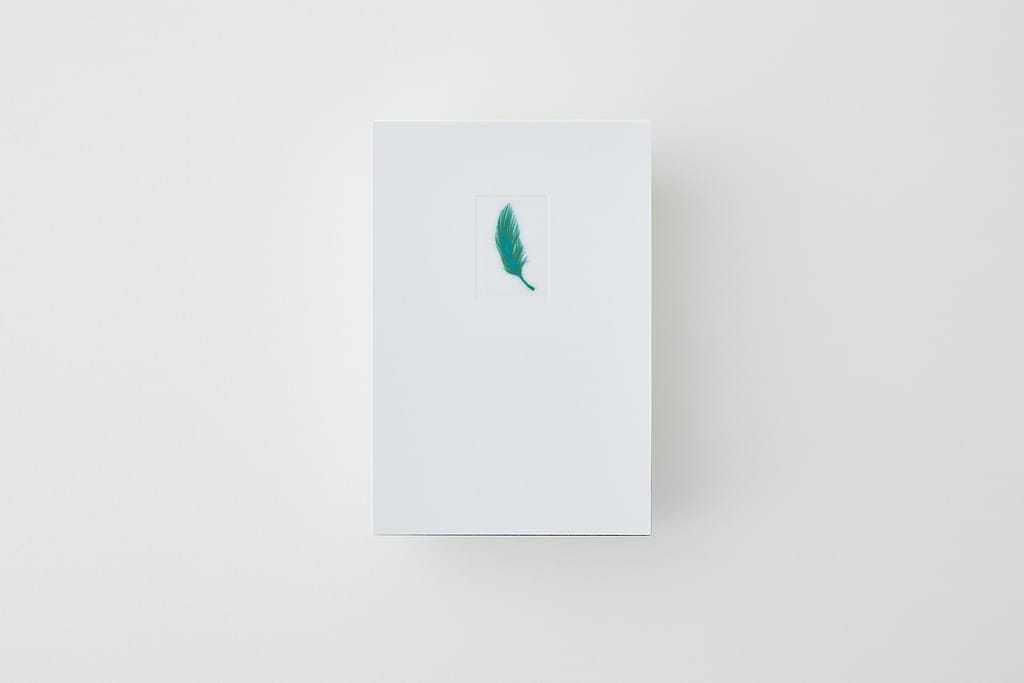 《鳥落地後》藝術書繪本