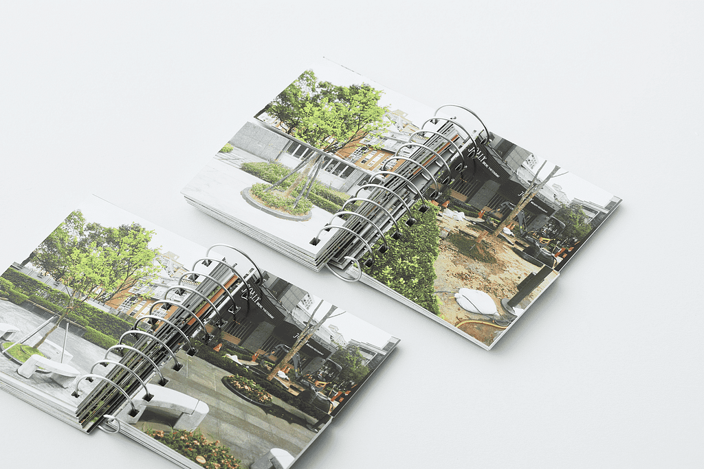 攝影書-公園裡的樹被砍了又種又砍又種又砍又種又砍又種