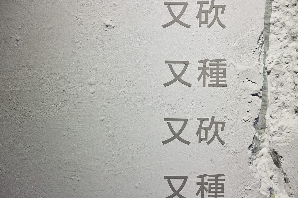 展覽-公園裡的樹被砍了又種又砍又種又砍又種又砍又種