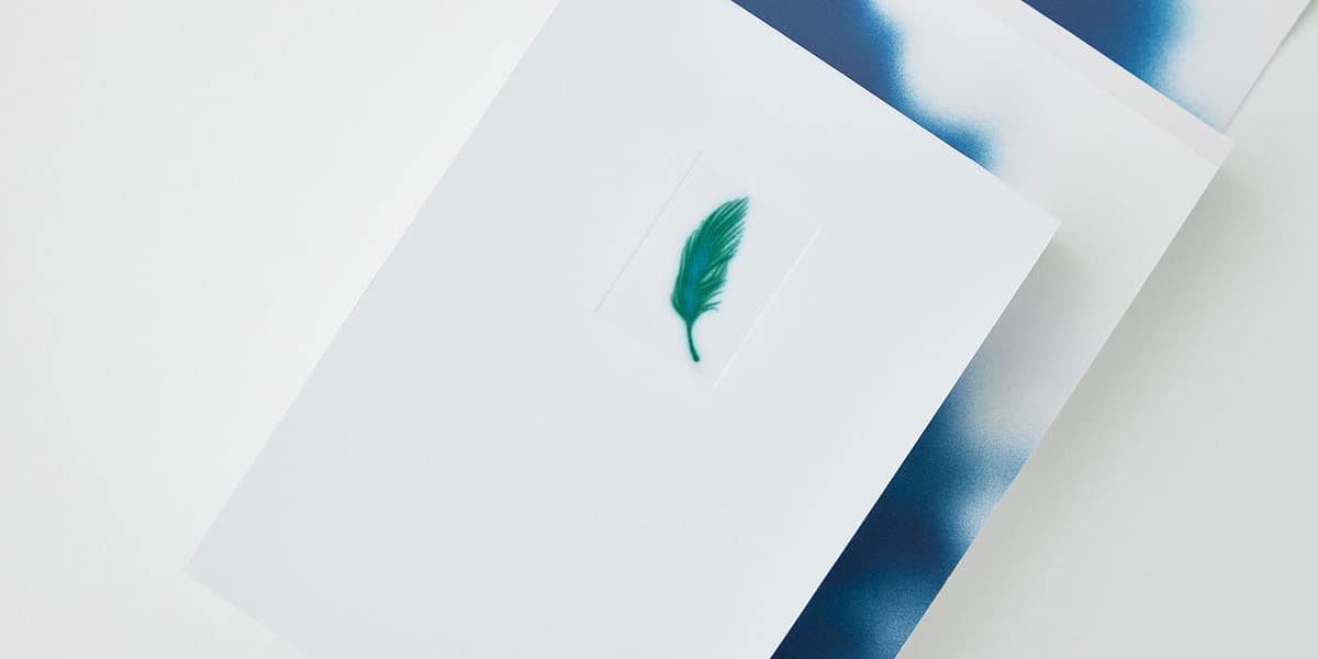 藝術書繪本《鳥落地後》書籍編輯＆裝幀設計