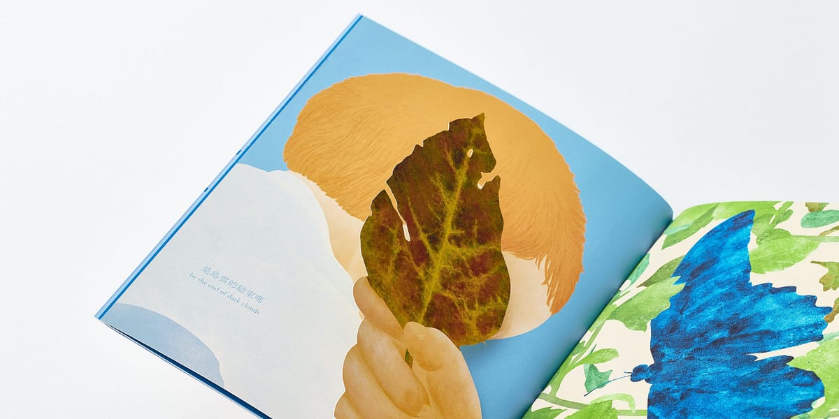 繪本-在雨停之後，夕陽西下之前