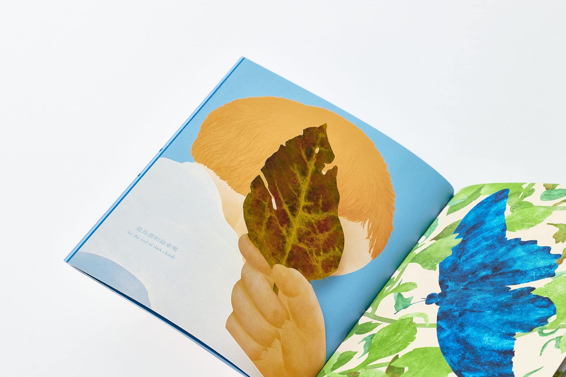 繪本-在雨停之後，夕陽西下之前