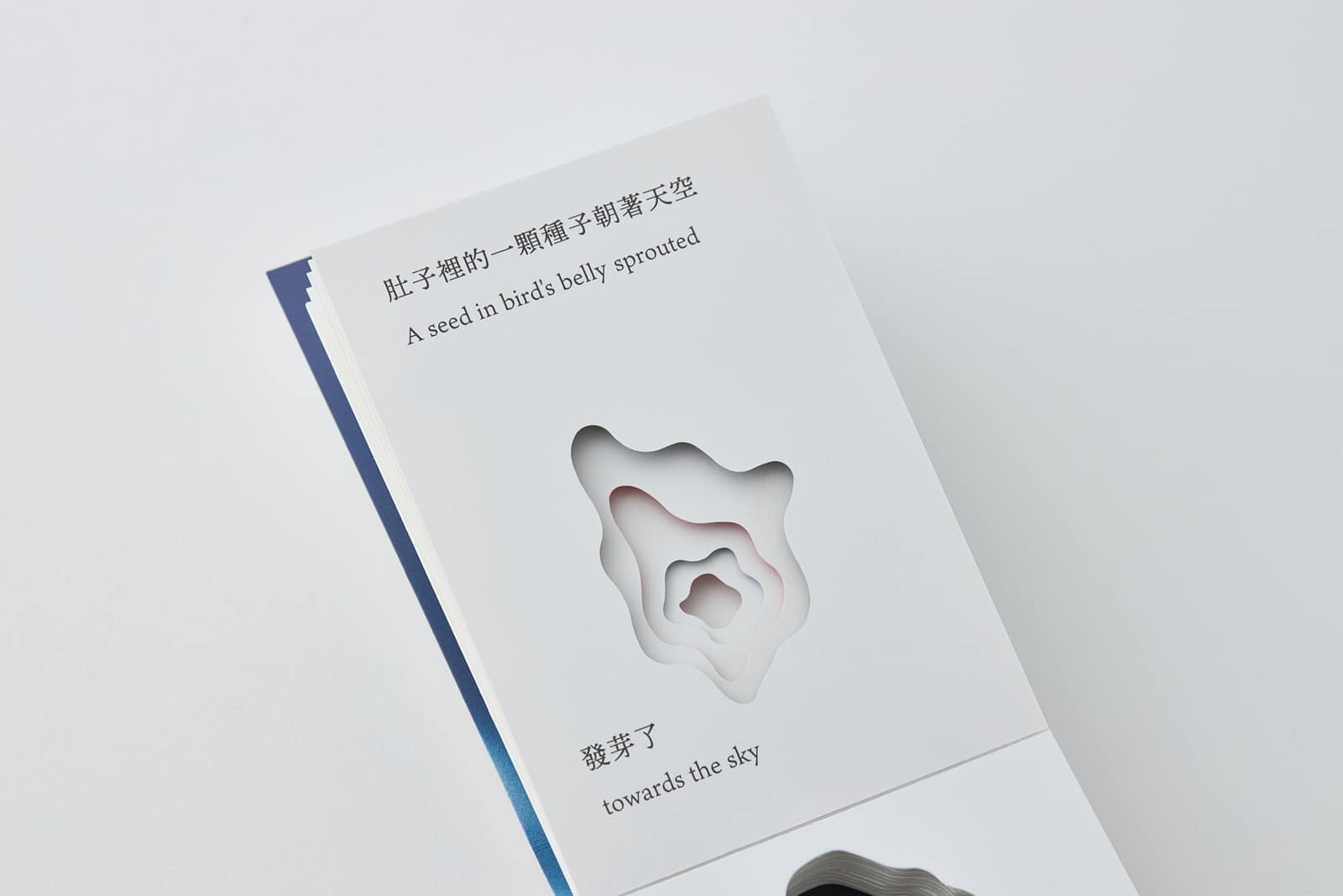 《鳥落地後》藝術書繪本