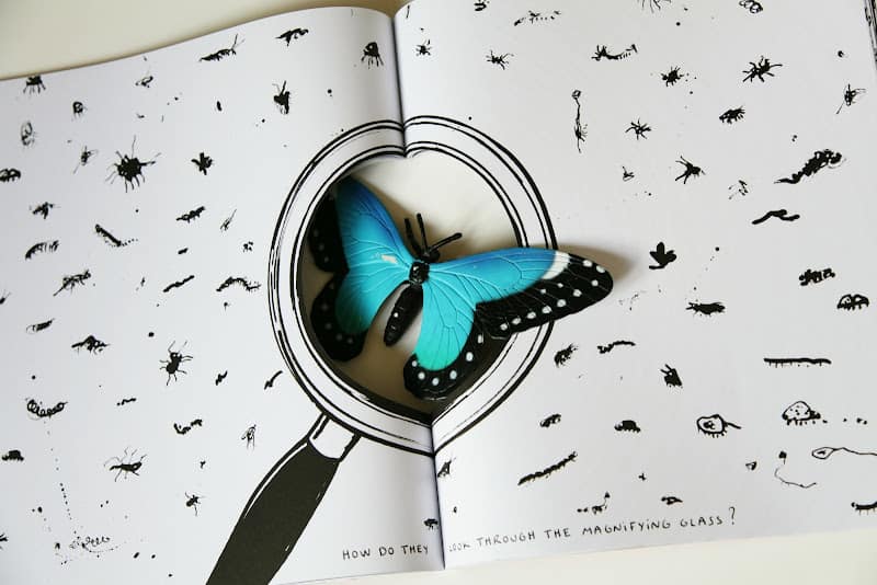 The Book with a Hole by Hervé Tullet