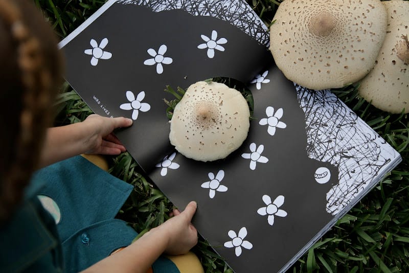 The Book with a Hole by Hervé Tullet