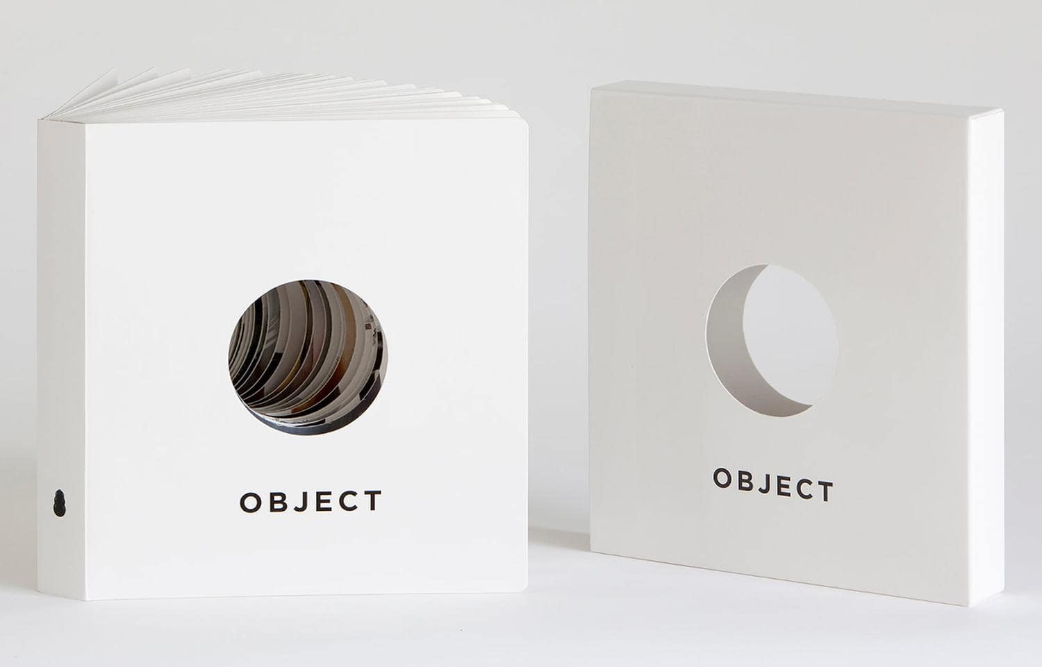object by Haim Steinbach