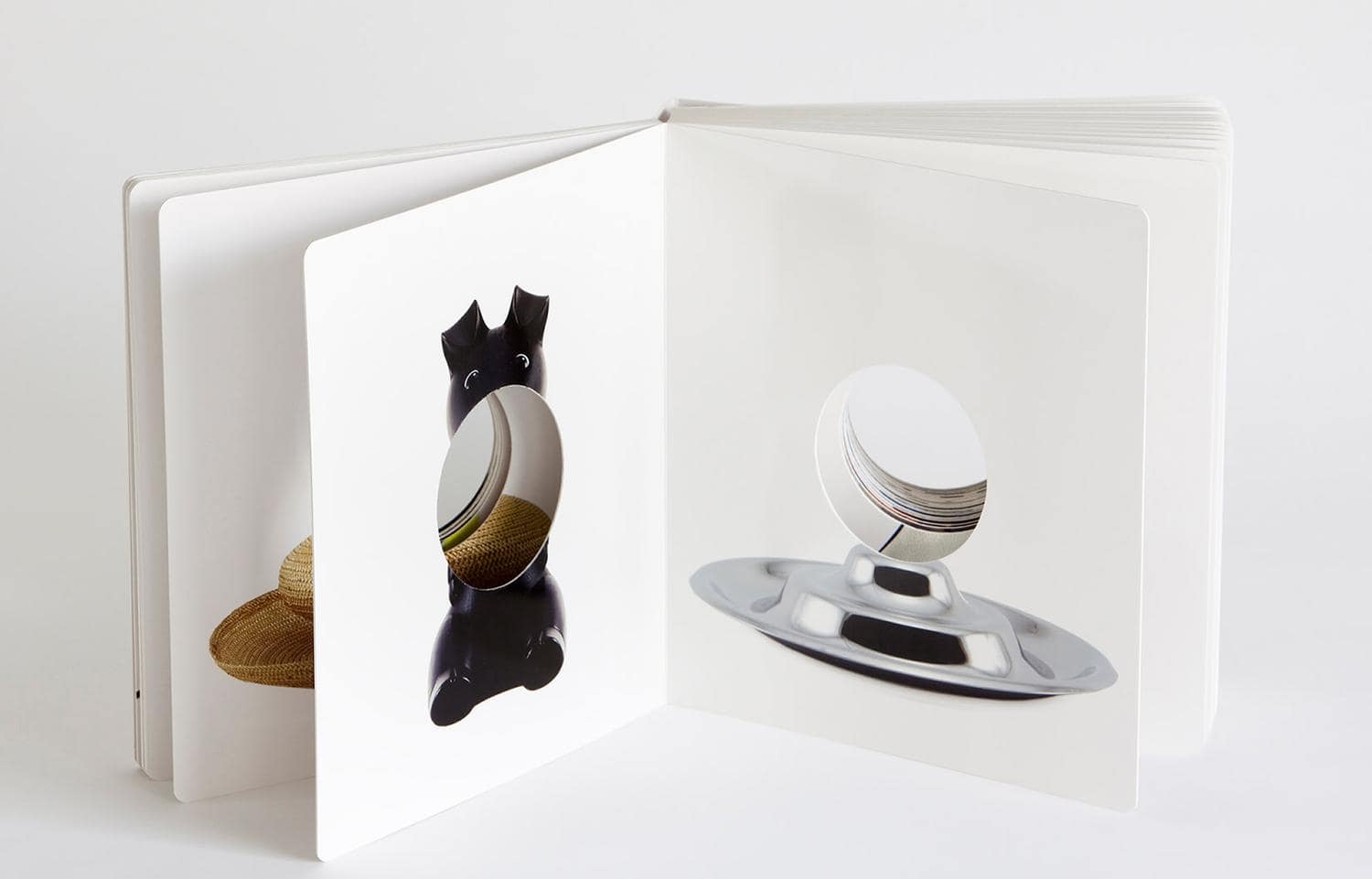 object by Haim Steinbach